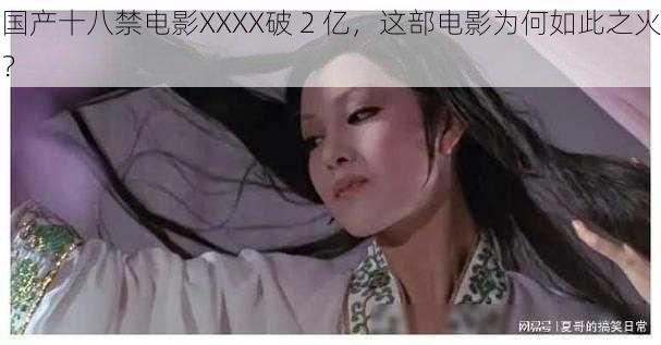 国产十八禁电影XXXX破 2 亿，这部电影为何如此之火？