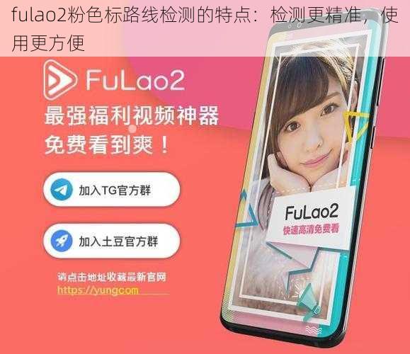 fulao2粉色标路线检测的特点：检测更精准，使用更方便