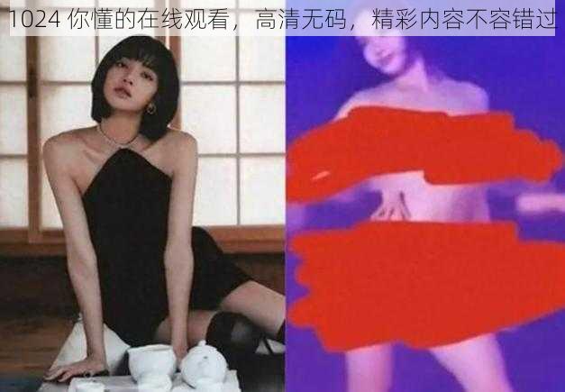 1024 你懂的在线观看，高清无码，精彩内容不容错过