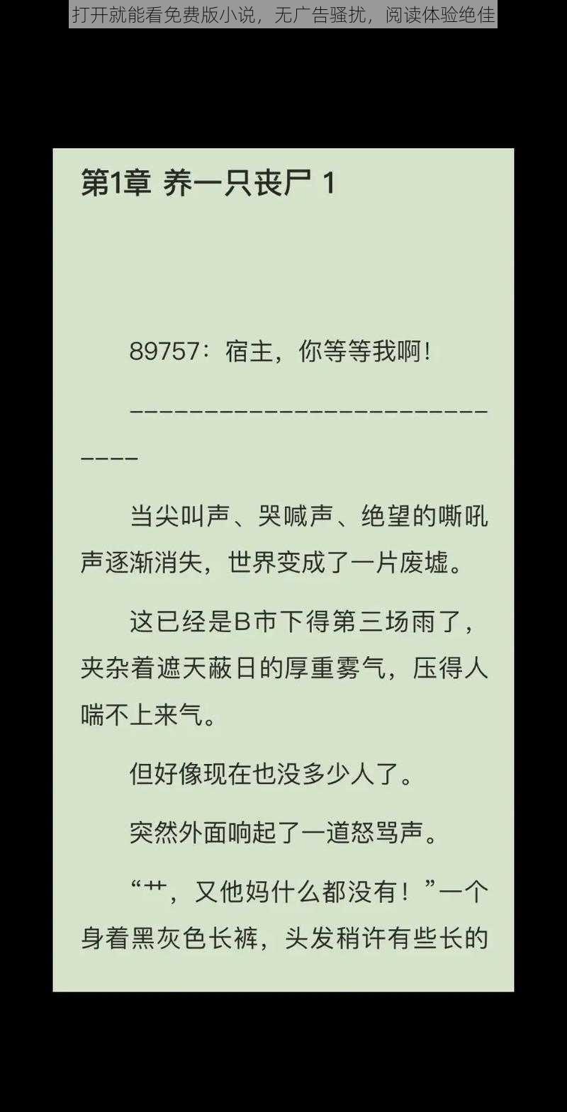 打开就能看免费版小说，无广告骚扰，阅读体验绝佳