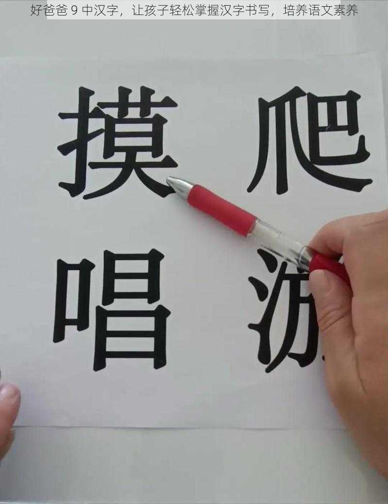 好爸爸 9 中汉字，让孩子轻松掌握汉字书写，培养语文素养