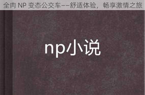 全肉 NP 变态公交车——舒适体验，畅享激情之旅