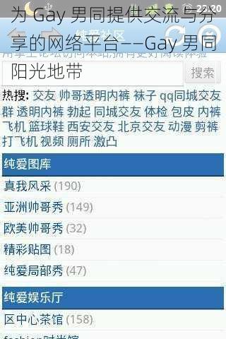 为 Gay 男同提供交流与分享的网络平台——Gay 男同阳光地带