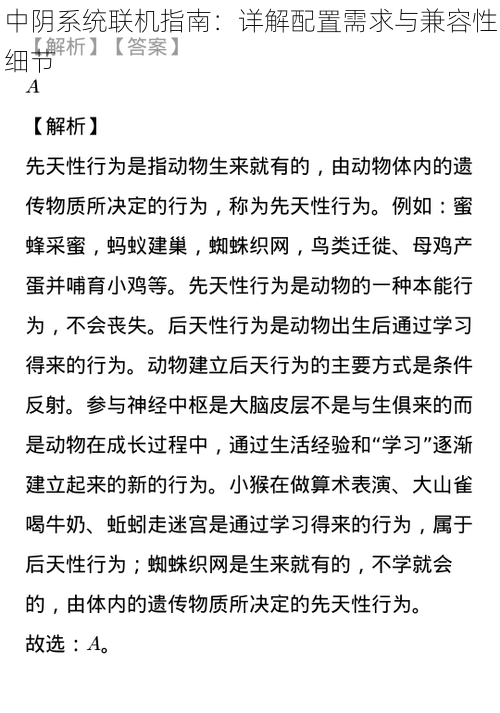 中阴系统联机指南：详解配置需求与兼容性细节