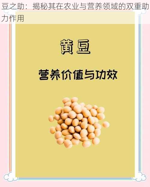 豆之助：揭秘其在农业与营养领域的双重助力作用