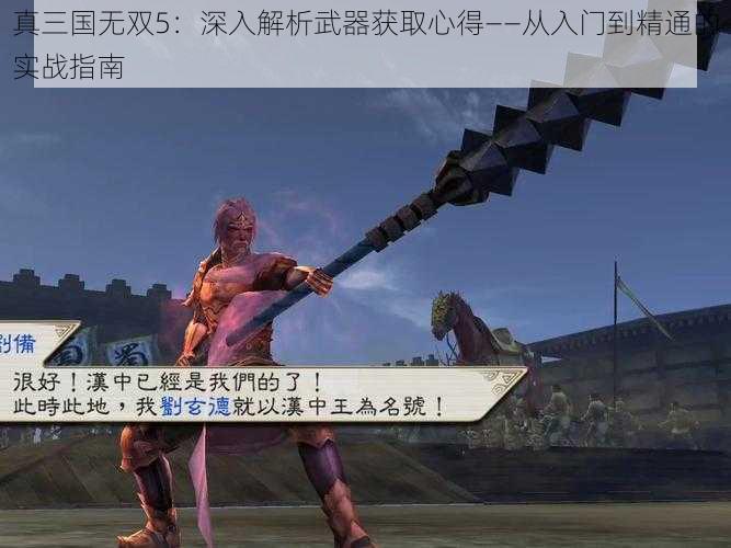 真三国无双5：深入解析武器获取心得——从入门到精通的实战指南